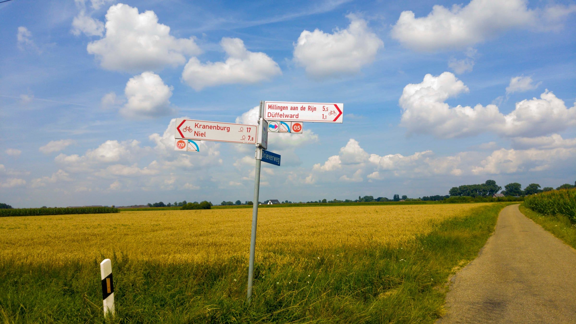 Wegwijzer van een fietsroute tussen de velden