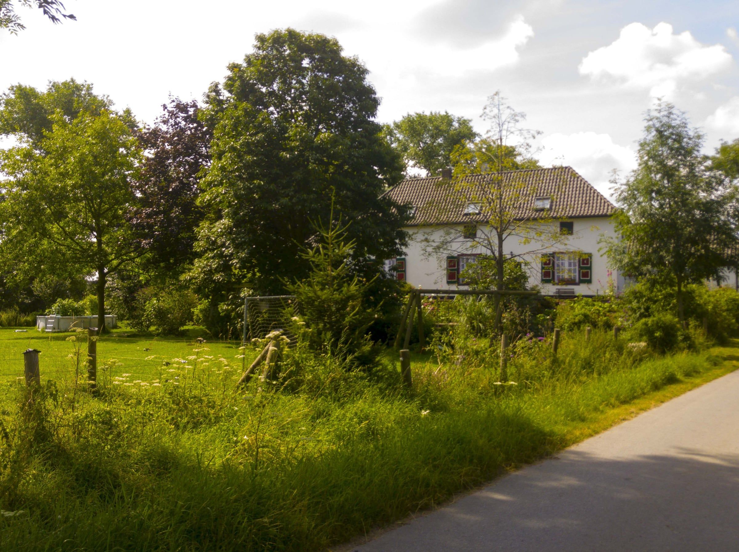 De boerderij gezien vanaf de weg, tussen de bomen