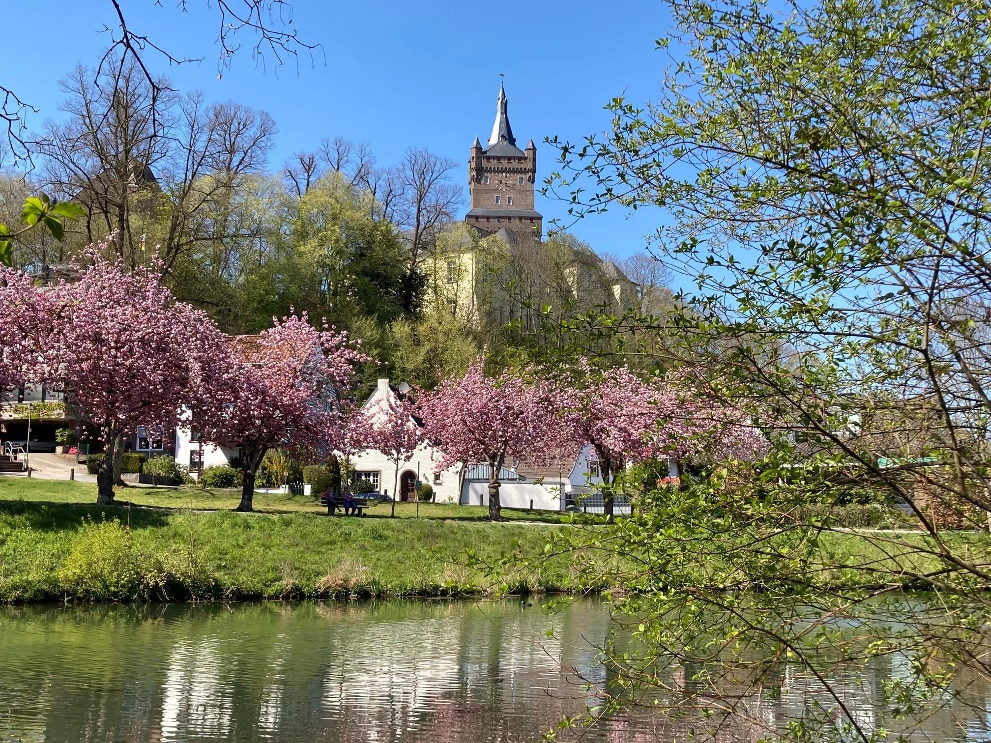 De Schwanenburg in Kleve boven bloeiende kersenbomen aan het water