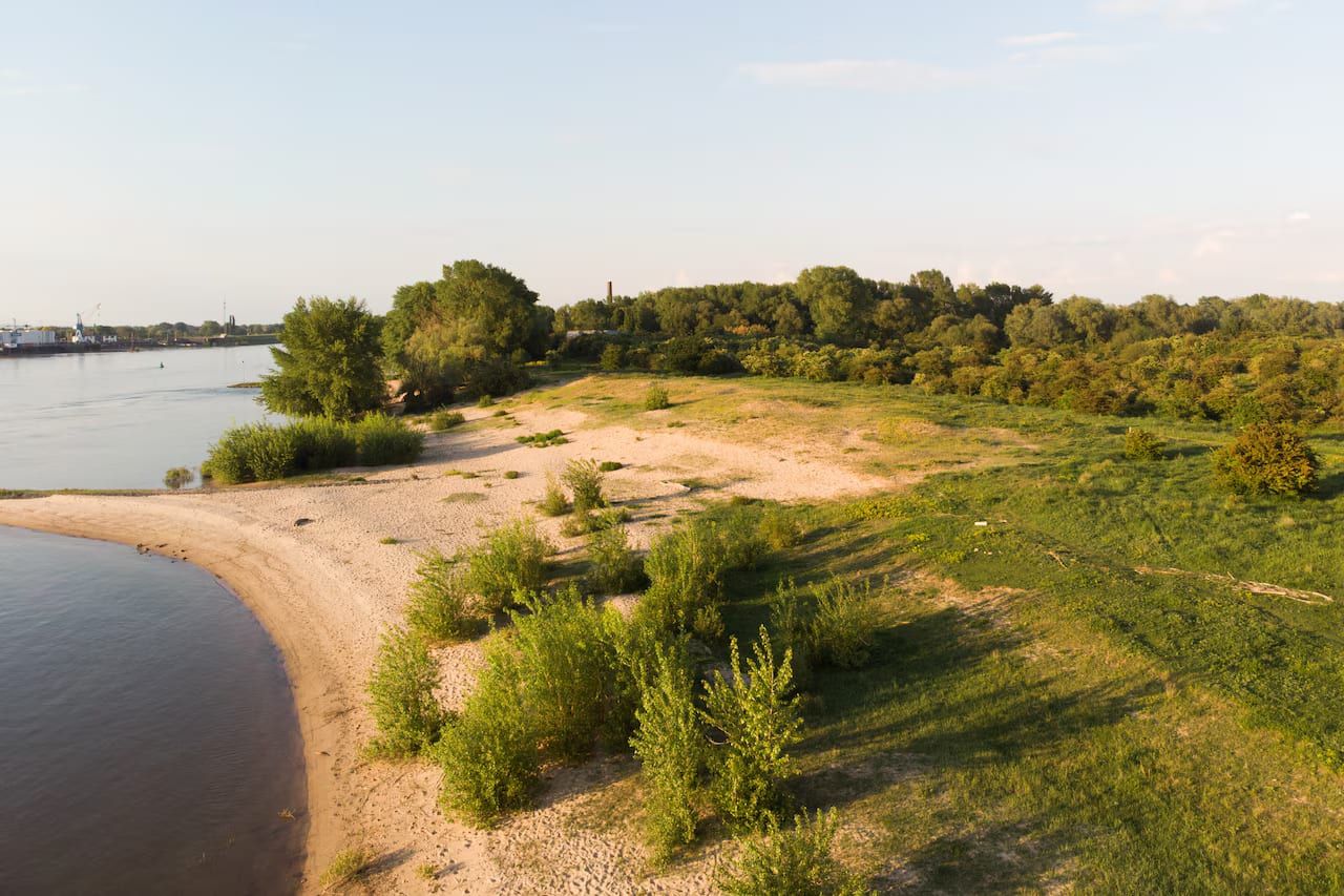 Sandstrand am Fluss und die bewachsenen Auen der Millingerwaard