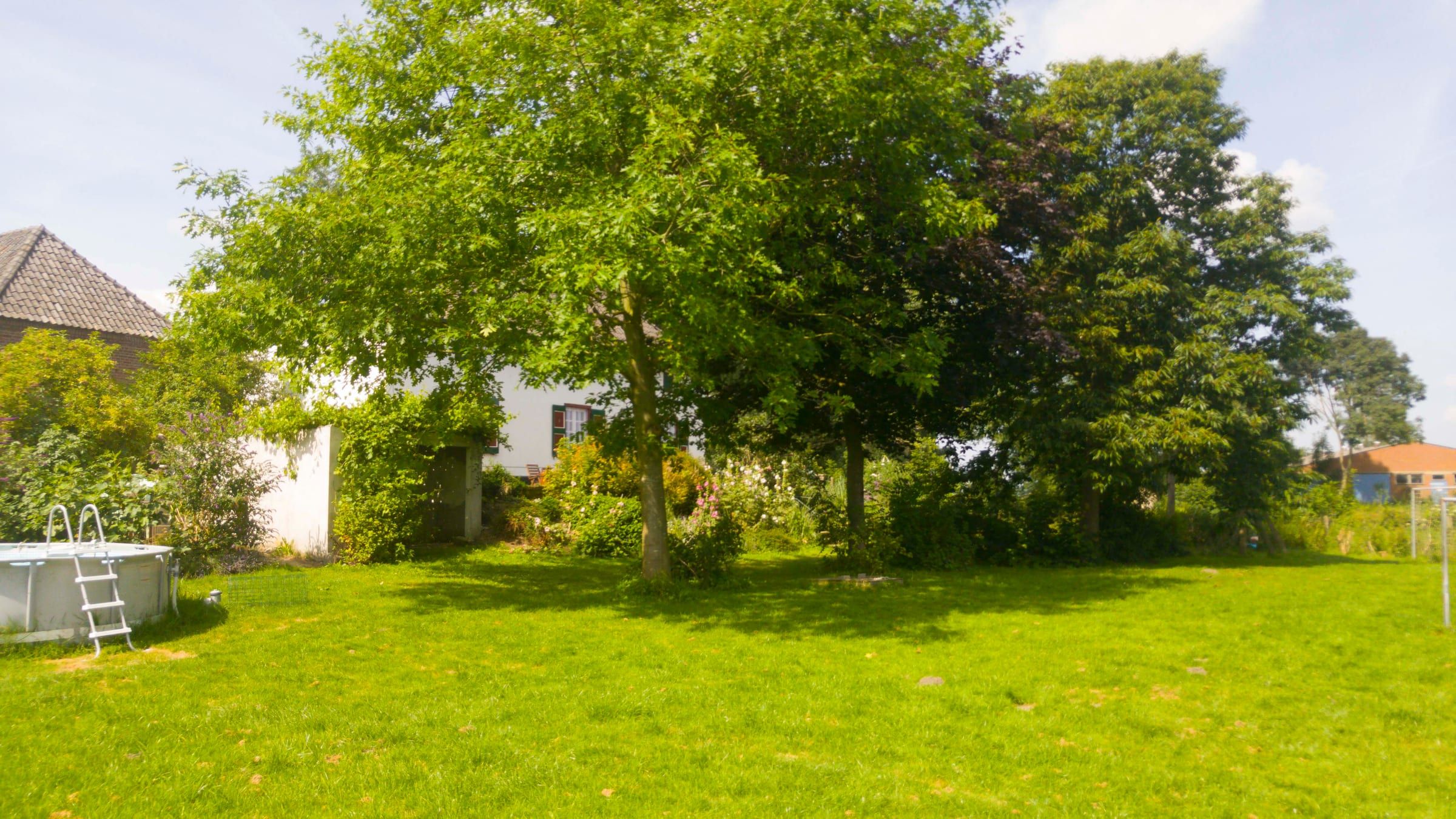 Groot gazon met bomen, met de boerderij op de achtergrond